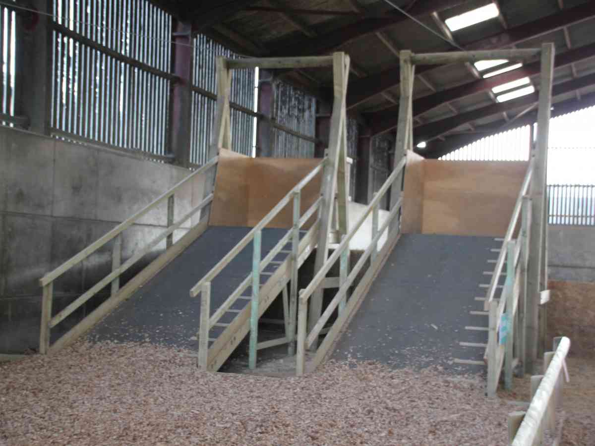 Tapnell Farm Park picture gallery